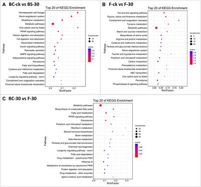 Transcriptome analysis reveals differential effects of beta-cypermethrin and fipronil insecticides on detoxification mechanisms in Solenopsis invicta